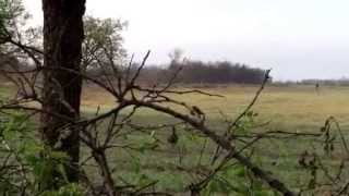 9 Year Old Lawson Markris - Rio