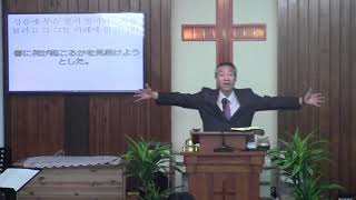 2019년8월4일, 요나 4:5-11(하나님께서 요나를 위해 준비하신 것들)-4(박넝쿨 벌레 동풍)