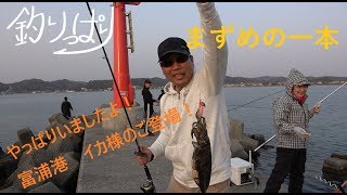 【館山釣り情報】釣りっぱり！　べっくのお魚情報館！(*'▽')　4/6～7