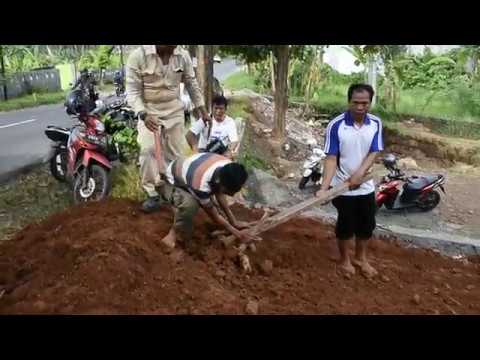 Operasi plastik pembesaran penis Postur tubuh yang benar untuk penis kecil