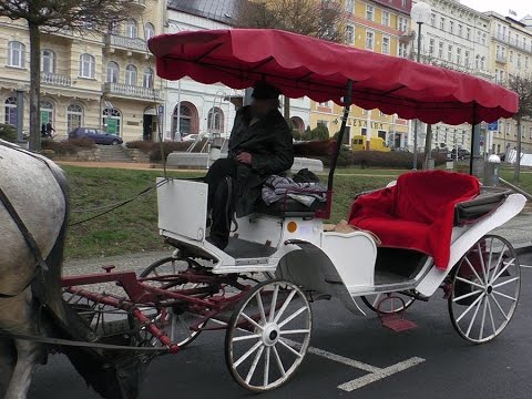 Kočár do Vídně to tentokráte nebyl