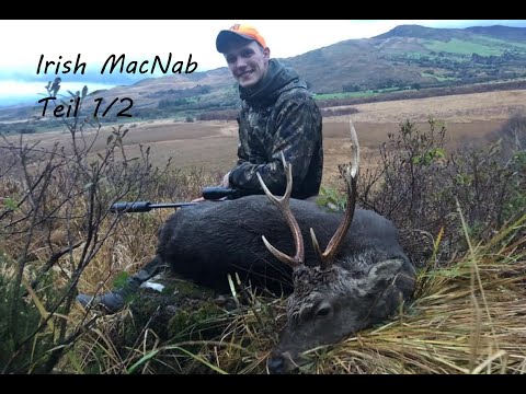 Irish MacNab 1/2 auf Sikahirsch, Pollack, Bekassine - Hunter Brothers