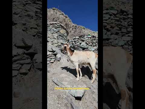 IRUYA SALTA ARGENTINA #lashuellasdenestor TURISMO AVENTURA NORTE