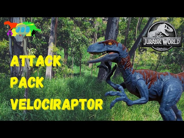 Vídeo relacionado con Jurassic World Dinosaurio Ataque Salvaje Velociraptor con garras, figura de juguete con movimientos para niños +4 años (Mattel HBX32)