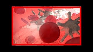 The Human Body’s Ability To Repair Wounds