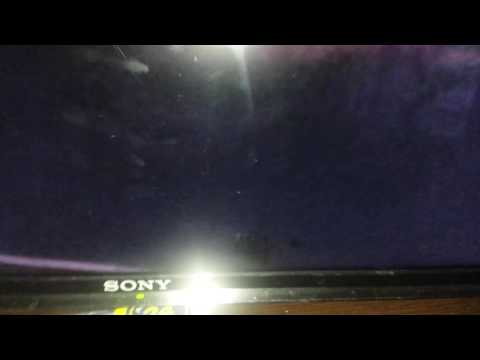 Hay hormigas dentro de la pantalla de la tv como se puede sacarlo están asiendo su nido