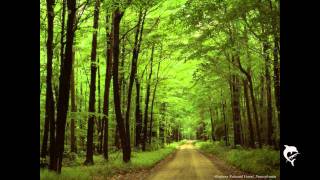 Sigur Rós - Andvari