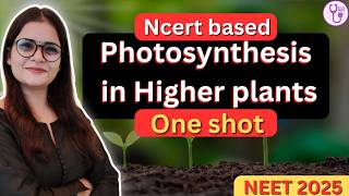 | Photosynthesis in Higher plants | One Shot |#neet2025 #neetexam #biology #cuet