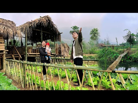 A Fence Built, A Path of Hope for a Single Mother