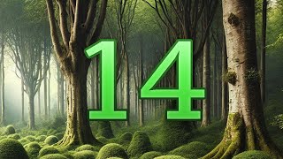 Warrior Cats - Forest of Secrets: Episode 14 - "Tracking Tigerclaw" (Audio Only)
