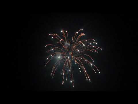 58  5 inch shell Ti willow with white strobe