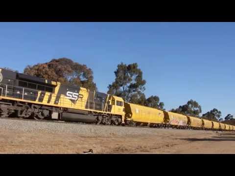 Junee Trains G513 & SSR101 with 3444