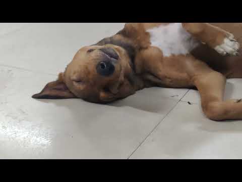 Men are simple carefree creatures..