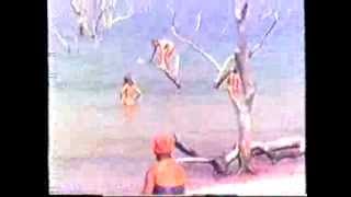 preview picture of video '1987 Zimbabwe   Lake Kariba, By Boat, VHS93/2, Plongeons, by HabariSalam'