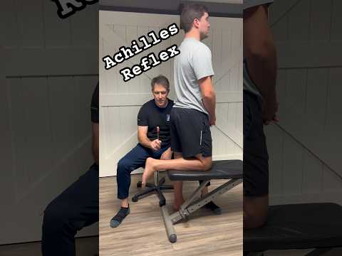 Achilles Reflex for an S1 Nerve Root Compression #physicaltherapy