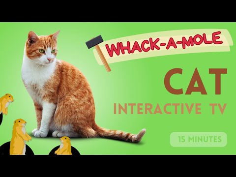 CAT GAMES : Take Your Cat to the Arcade! 🕹️Whack-A-Mole 🕹️