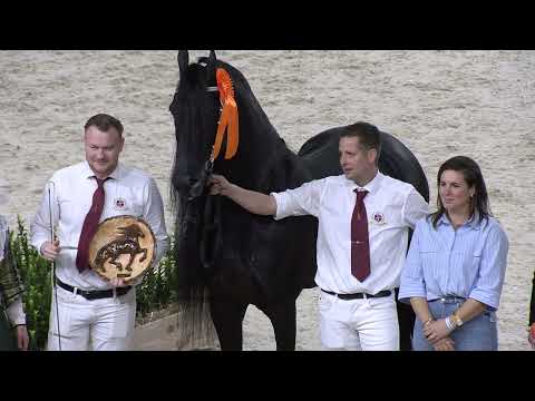 HK 2026 | Winnaars Rubriek 7 | 17 Januari 2026