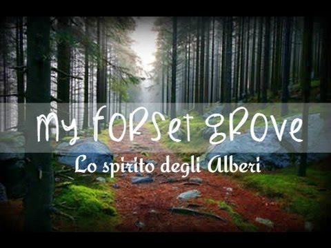 Curare adenoma prostatico Prostamol prostagut prostaplant