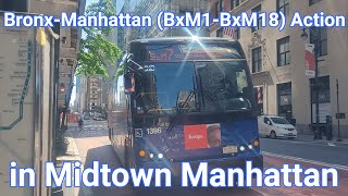 ⁴ᴷ⁶⁰ BxM1, BxM2, BxM3, BxM4, BxM6, BxM7, BxM8, BxM9, BxM10, BxM11, & BxM18 Bus Action in Midtown NYC