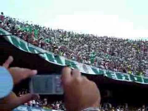 Palmeiras e Corinthias