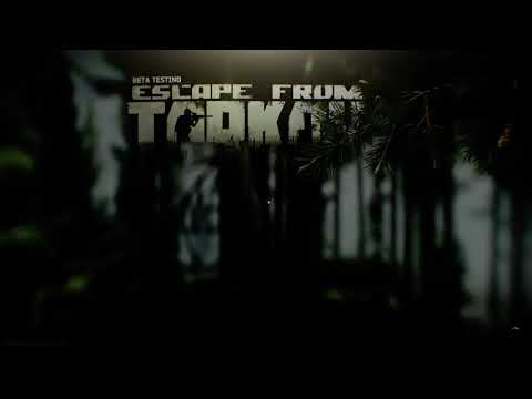 Another instance of tarkov desync. Game is unplayable 12.9