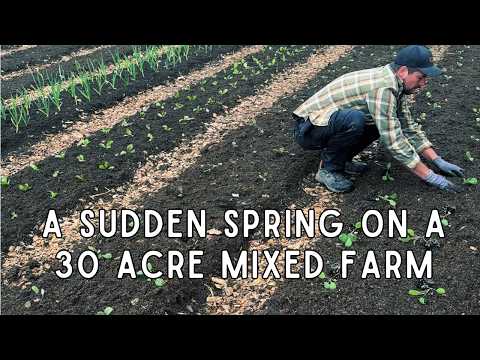 Spring came fast up at 59 degrees north