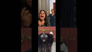 Download lagu SUNU is back💦.💦. # buddybesties#catreels #viralvideo #friendshipreels mp3