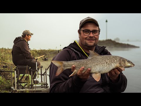 Barben Feedern am Fluss - So kommst du jetzt zum Fisch!