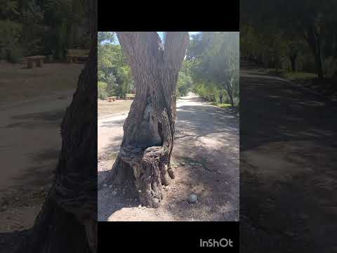 San Marcos sierras tranquilidad 100% asegurada