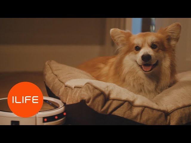 iLife V5s pro Robot Aspirador Blanco/Dorado video