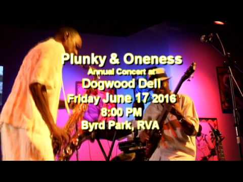 Plunky & Oneness @ Dogwood Dell 6-17-16