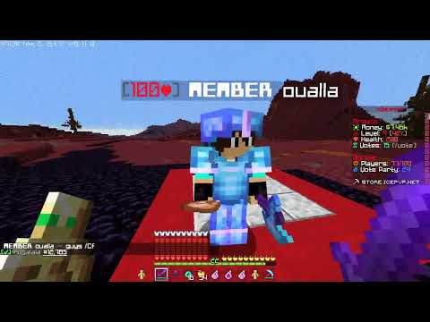 Peaceful Day in a LifeSteal Server :]