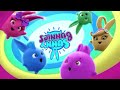 Sunny Bunnies New Intro First Effects