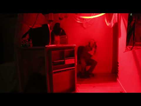 Noche de auténtico miedo en Vitigudino con el Túnel del Terror de Vitiriteros