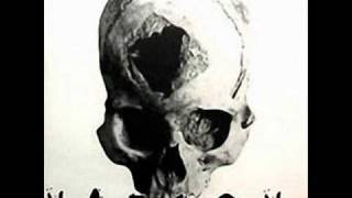 American Head Charge - Pushing The Envelope - Trepanation (1999)