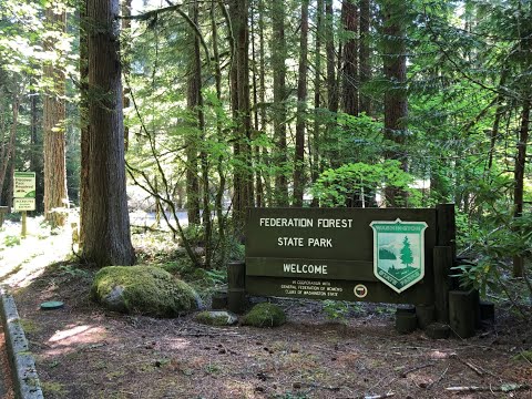 Accessible Trails: Low Barrier hike at Federation Forest State Park, near Enumclaw, WA  1/2 mile