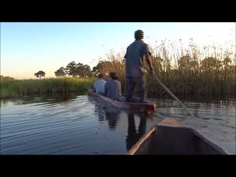 Mokoro-Fahrt im Okavango Delta