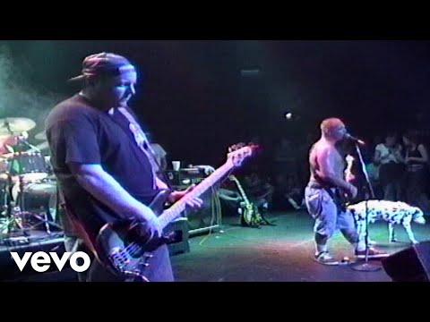 Videoclip de Pool Shark (Live At The Palace/1995) — Sublime