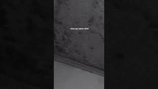 Download lagu STORY WA 30 DETIK || BISA GA PEKA DIKIT :) mp3