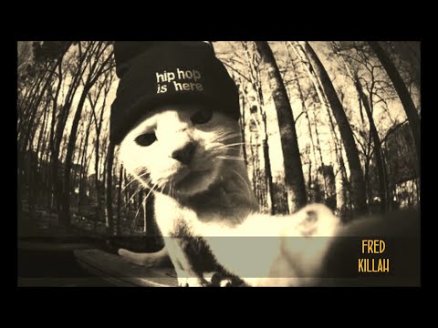 Haze – BETON & BLUT / Karlsruher Schule (2026 ALBUM)  -  Schatten über der Fächerstadt [28:05 min]