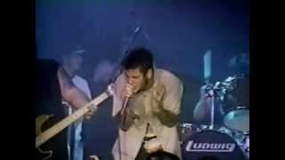7.Down Stone the Crow Live in Dallas 95'