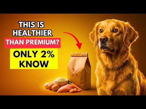 15 Budget Human Foods That Are Healthier Than Premium Dog Food Only 2% Know!