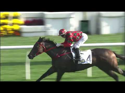 16/1/2022 (341) En Pointe - J Moreira