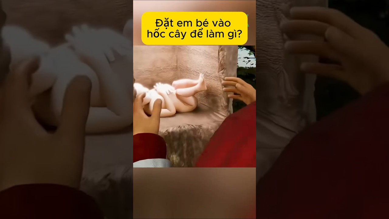 Đặt em bé vào hốc cây để làm gì?