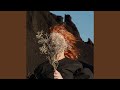 Faux Suede Drifter by Goldfrapp