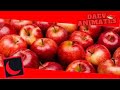 Hey Look Apples II Moon Animation