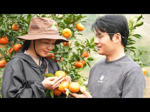 Tu Diem always had faith and hope that Toan's memory would return...