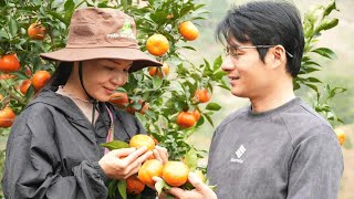 Download lagu Tu Diem always had faith and hope that Toan's memory would return... mp3