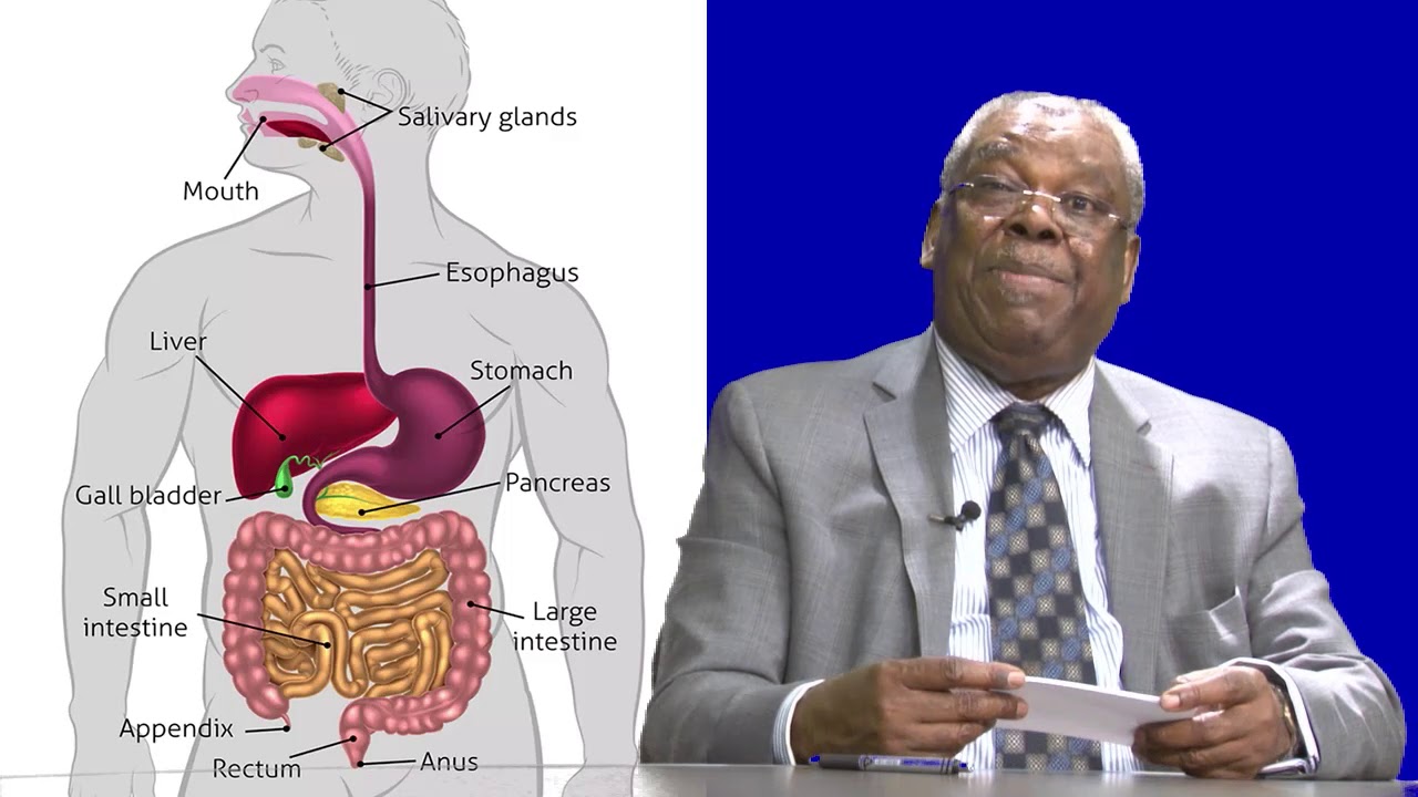 Le Coeur : organe vital présenté par Jean S Bonnet (MD)