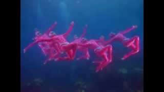 my bloody valentine - only tomorrow // video clip (non official)